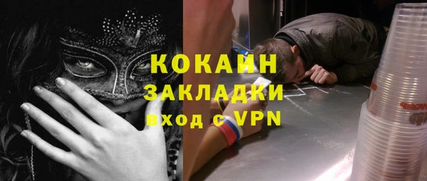 прущие грибы Каменка
