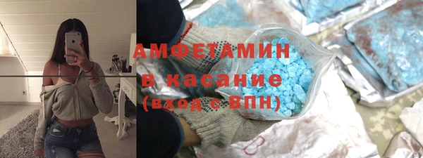 прущие грибы Каменка
