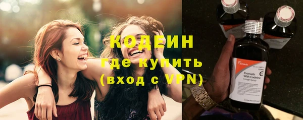прущие грибы Каменка