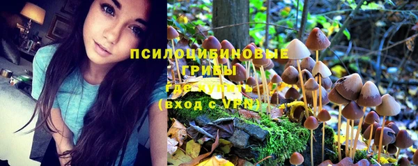 гидра Иннополис