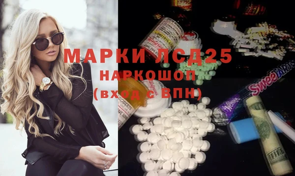 прущие грибы Каменка