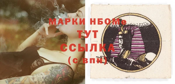 прущие грибы Каменка