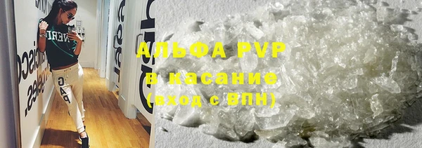 гидра Иннополис