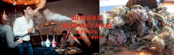прущие грибы Каменка