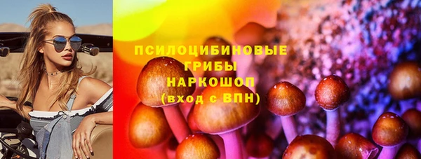 прущие грибы Каменка