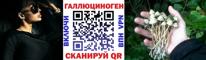 Псилоцибиновые грибы мухоморы  Купить закладки  Завитинск 